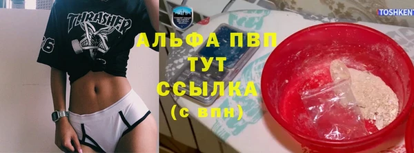 СК Верея