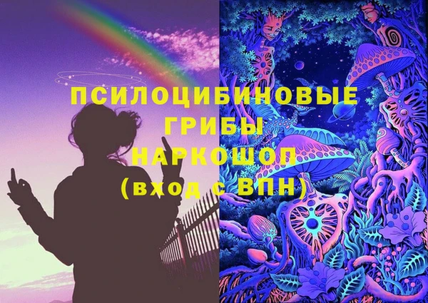СК Верея