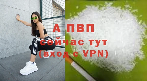 СК Верея