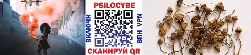 Купить где  Богородицк  Галлюциногенные грибы GOLDEN TEACHER 